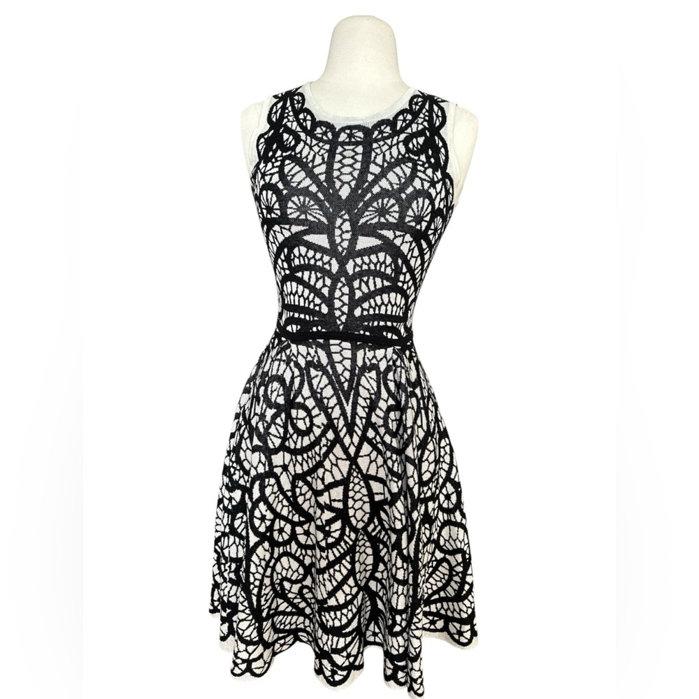 BCBG Black and White Lace Midi Dress